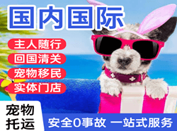南阳姜营机场物流国际宠物托运 【国